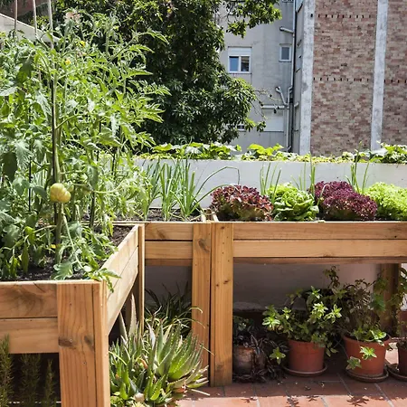 Hostal Residencia Albergue Studio Barcelona